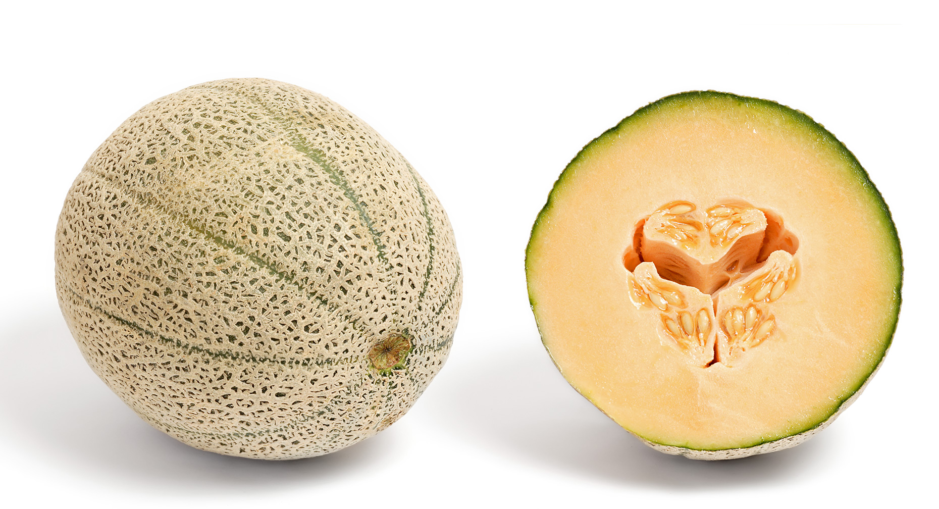 Cantaloupe 